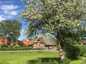 Reetgedeckte Fachwerkhaushälfte an der Ostsee